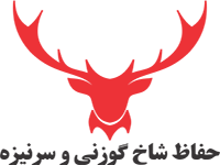 موتور یار